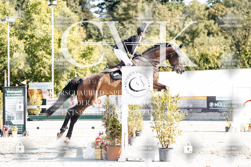 CK902293 | Turnierfotografie Pferdefotografie Trier Rheinland-Pfalz Pferdesport Reitsport Tierfotografie Sportfotografie Pferdevideo Pferdevideografie Equestrianvideography equestrianphotography  - Realisiert mit Pictrs.com