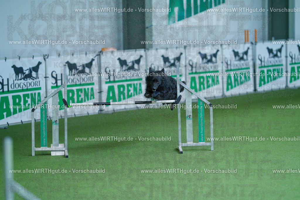 @allesWIRTHgut_Tierfotografie - www.allesWIRTHgut.de - 2604261401-7R503236 | Professionelle Tierfotografie in Mönchengladbach von Daniel Wirth (allesWIRTHgut). Liebevolle & natürliche Bilder von Hunden & Katzen für unvergessliche Erinnerungen.