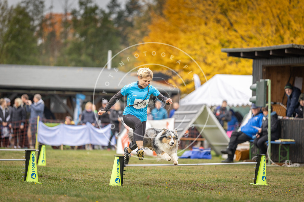 Pfotenfotografie_DV3A5439 | Hundefotografie, Tierfotograf, Pfotenfotografie, Fotoshooting Hund, Hunde Portrait, Hundesport, Hundeportraits, Heideshooting, Hunde, Sportfotograf, Hundefotograf, Turnierhundsport, THS,  - Realisiert mit Pictrs.com