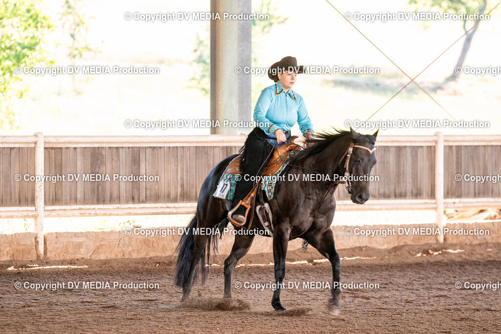 Erbach Tag 3-285 | dv-media-shop - Realisiert mit Pictrs.com