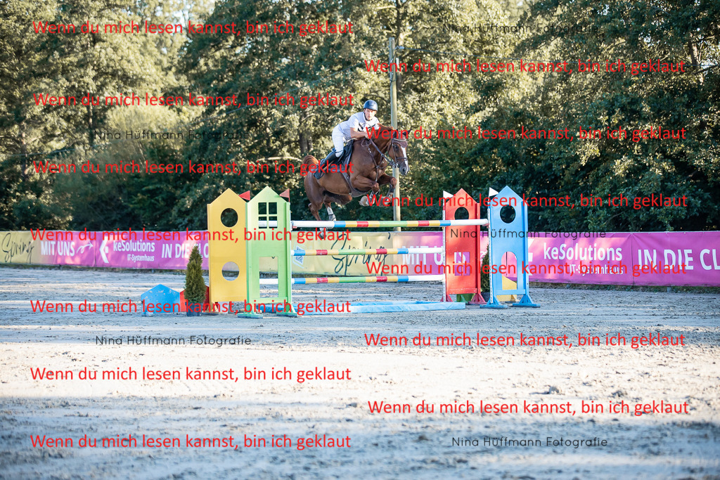 BK1A8866 | Turnierbilder Turnierfotos Nina Hüffmann Turnierfotografie Pferdefotografie Tierzeichnung Haustierzeichnung Pferdezeichnung Hundezeichnung Videograf  - Realisiert mit Pictrs.com