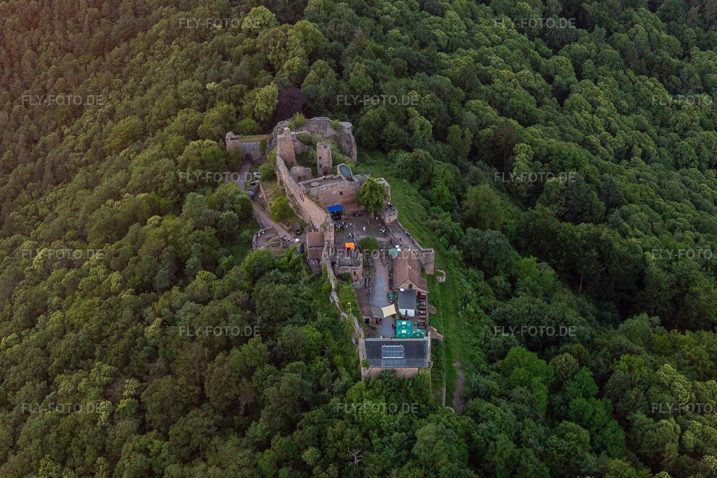 Luftbild: Madenburg in Eschbach im Bundesland Rheinland-Pfalz in Deutschland. Foto: IMG_115570.jpg vom 21.06.2019 durch Werner Riehm/FLY-FOTO.de