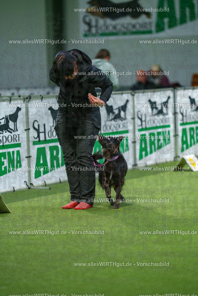 7R505759 | Professionelle Tierfotografie in Mönchengladbach von Daniel Wirth (allesWIRTHgut). Liebevolle & natürliche Bilder von Hunden & Katzen für unvergessliche Erinnerungen.