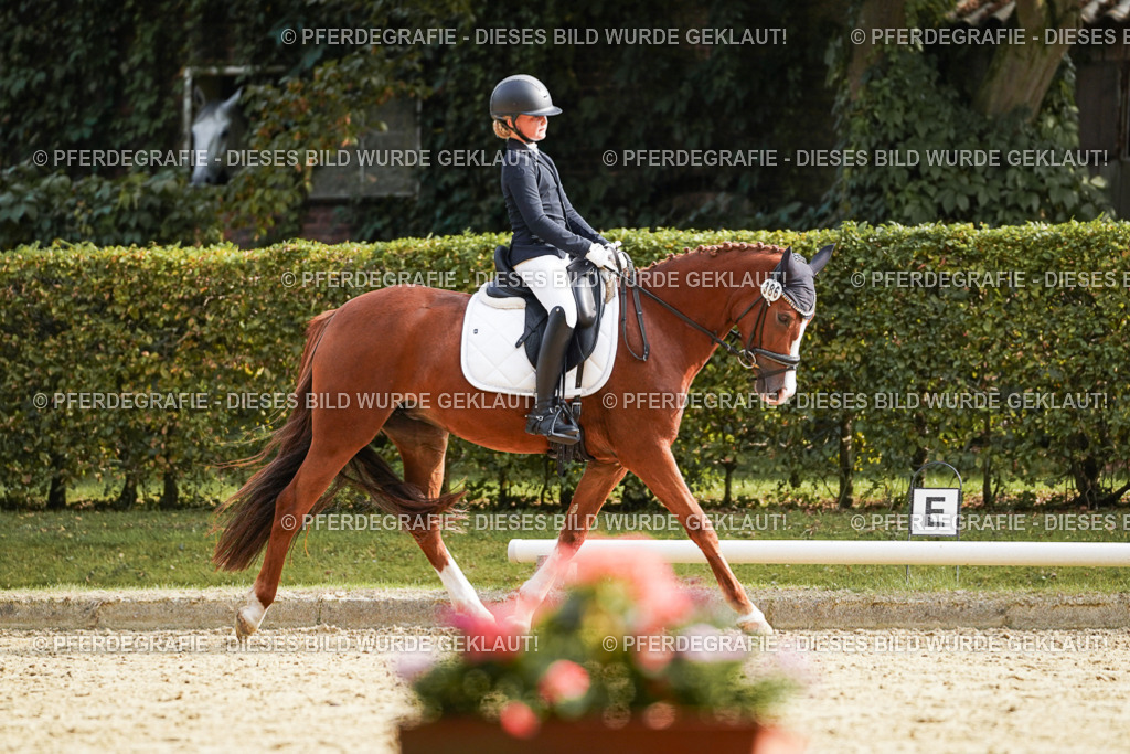 DSC05186 | Pferdegrafie