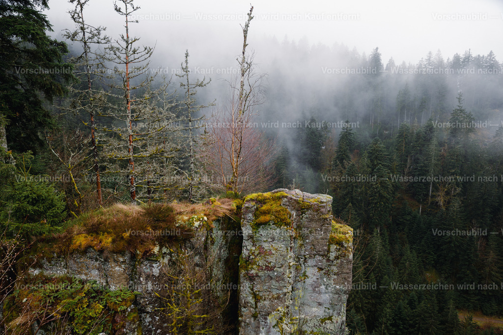Schwarzwald Ausblick | bei Bad Rippoldsau, im Nebel - Realisiert mit Pictrs.com