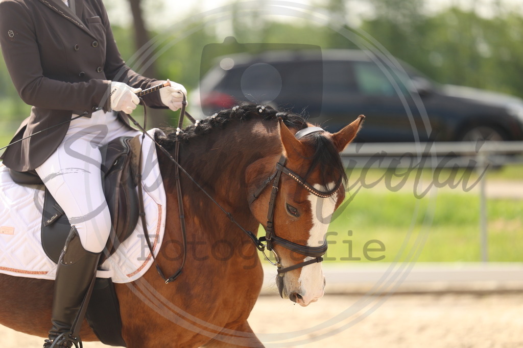 994A6877 | sabrinanicolaifotografie - Realisiert mit Pictrs.com