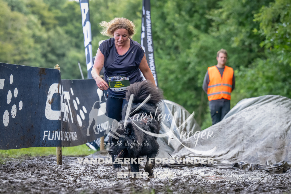 1154_ZZ90235-Bearbeitet | kk-dogfotos