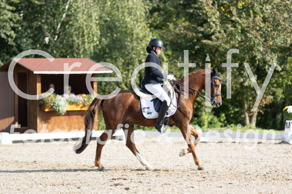 IMG_2527 | Creatify Fotografie