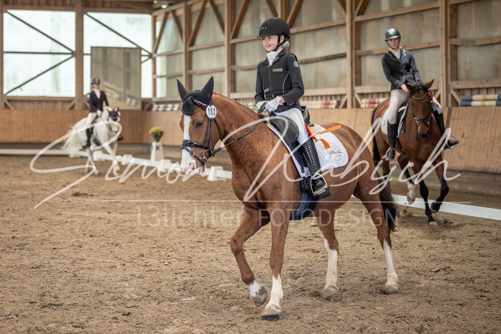 20251011-_3LI7403 | Tierfotografie Pferde, Hunde, Katzen, Haustiere.
Turnierfotografie Reitturniere, Reiten, Springreiten, Dressur in Hanau, dem Main-Kinzig-Kreis und dem Rhein-Main- Gebiet um Frankfurt
