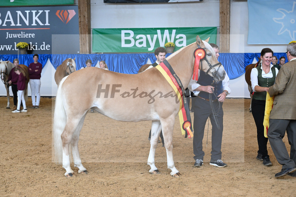 Kat-Nr. 331 Odienne K_Kappelsberger_54224238 | hf-fotografie - Realisiert mit Pictrs.com