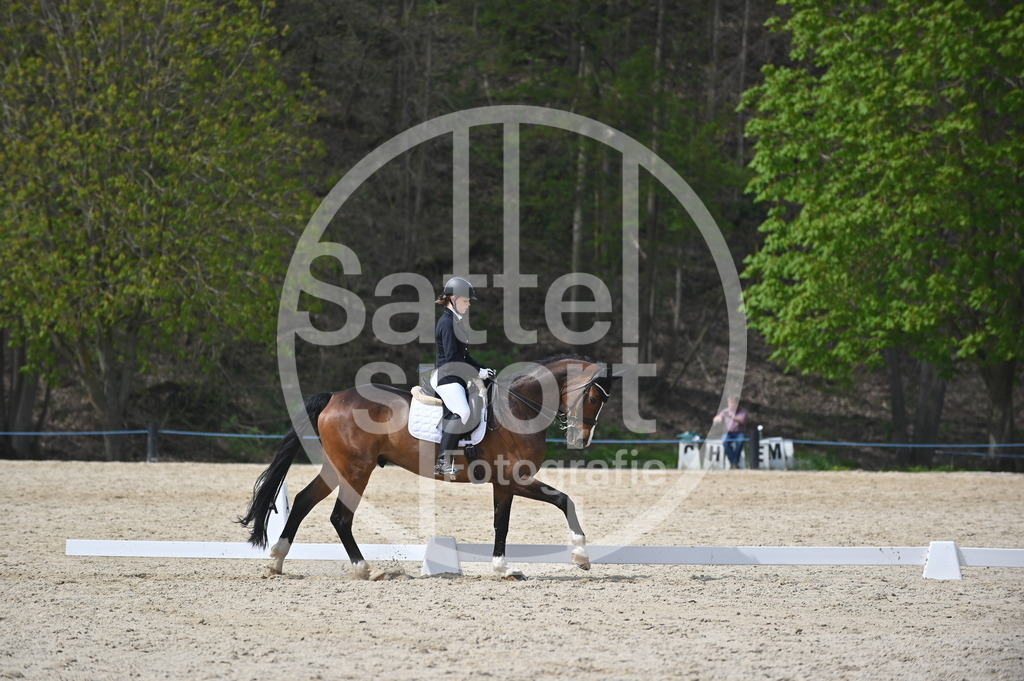 DSC_4209 | sattelsport - Realisiert mit Pictrs.com