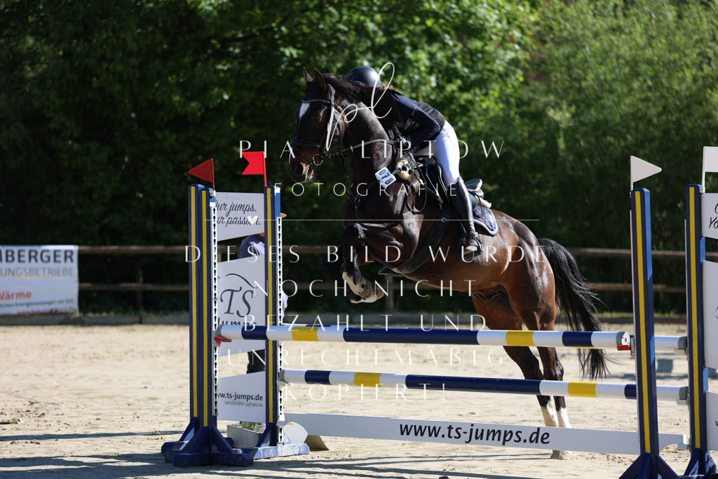 IMGS6033 | pl-fotografie