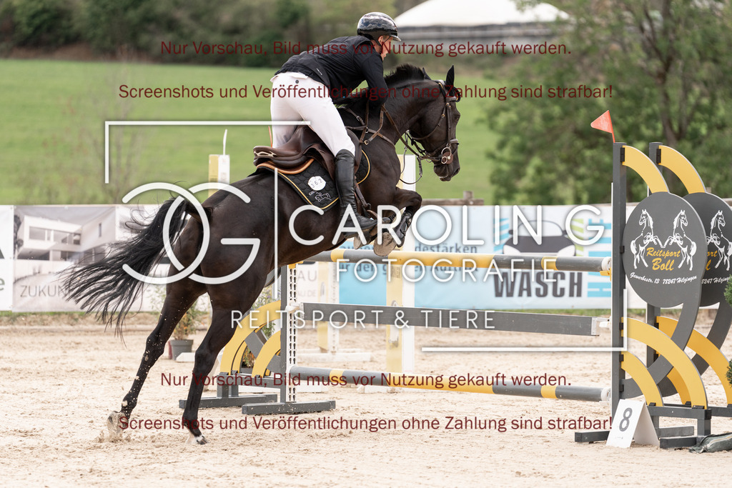 DSC06723 | Springturnier_Teamchallege_Talheim_2026, Manuel_Feige, Victoria_134