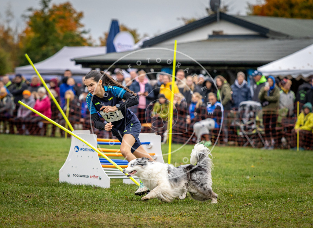 Pfotenfotografie_DV3A0614 | Hundefotografie, Tierfotograf, Pfotenfotografie, Fotoshooting Hund, Hunde Portrait, Hundesport, Hundeportraits, Heideshooting, Hunde, Sportfotograf, Hundefotograf, Turnierhundsport, THS,  - Realisiert mit Pictrs.com