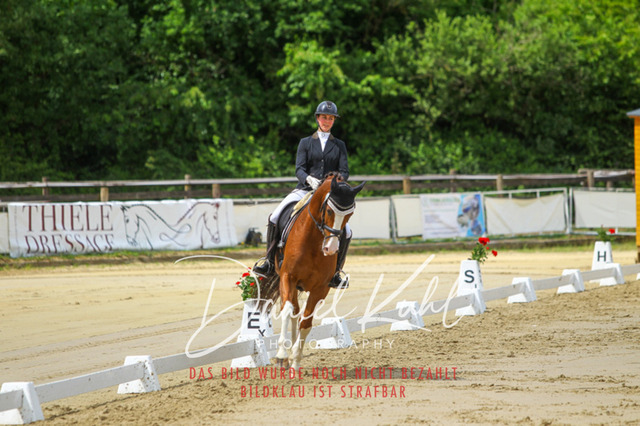 DKP46288 | Turniersportfotografie; Pferdefotografie; Dressurfotografie