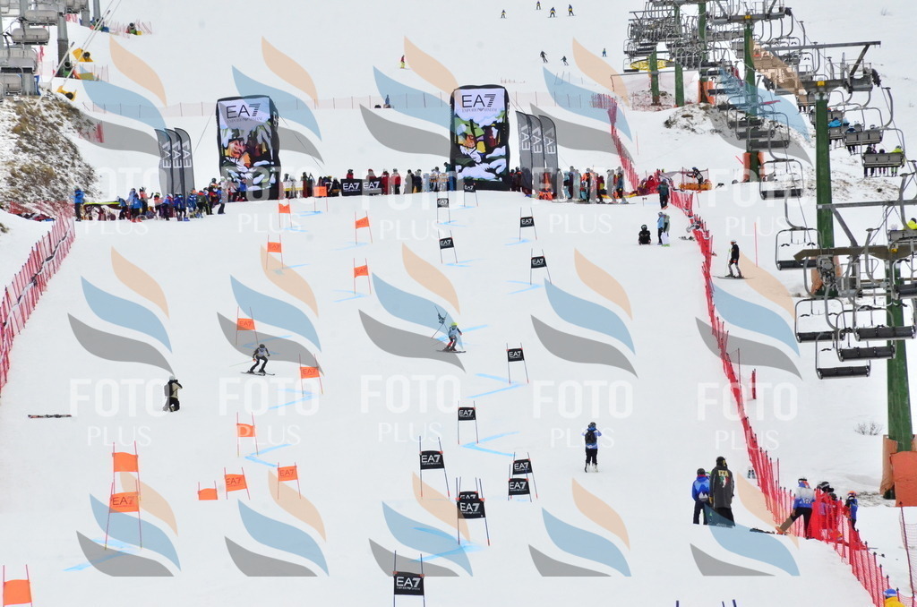 _ELE3556 | holidayphoto