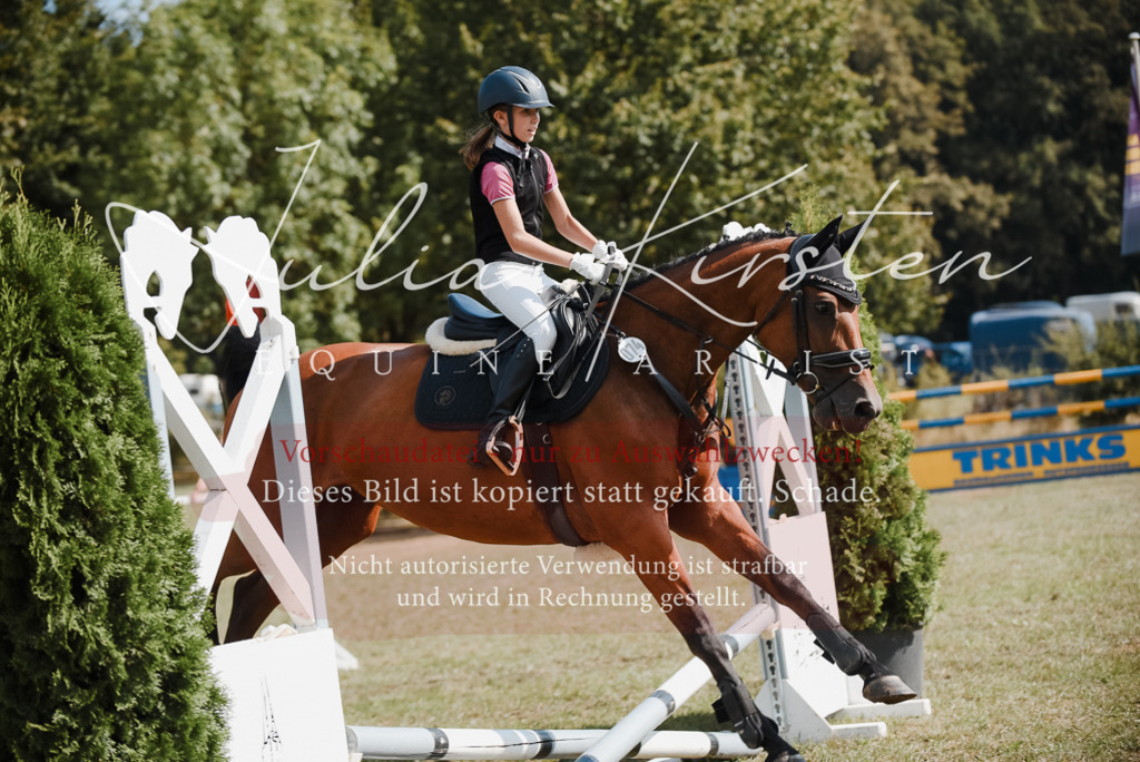 DSC_5390 | Pferde- und Turnierfotografie in Westsachsen. Pferdeportraits, Auftragszeichnungen und intuitive Kunst.