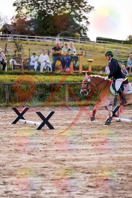 2026_10_03_Siefer-Hof_145456_Z81_35195596 | Professionelle Reitsport-, Turnier- und Eventfotografie von Robert Broda. Galerien mit ausgewählten und bearbeiteten Bildern direkt online ansehen und bestellen.