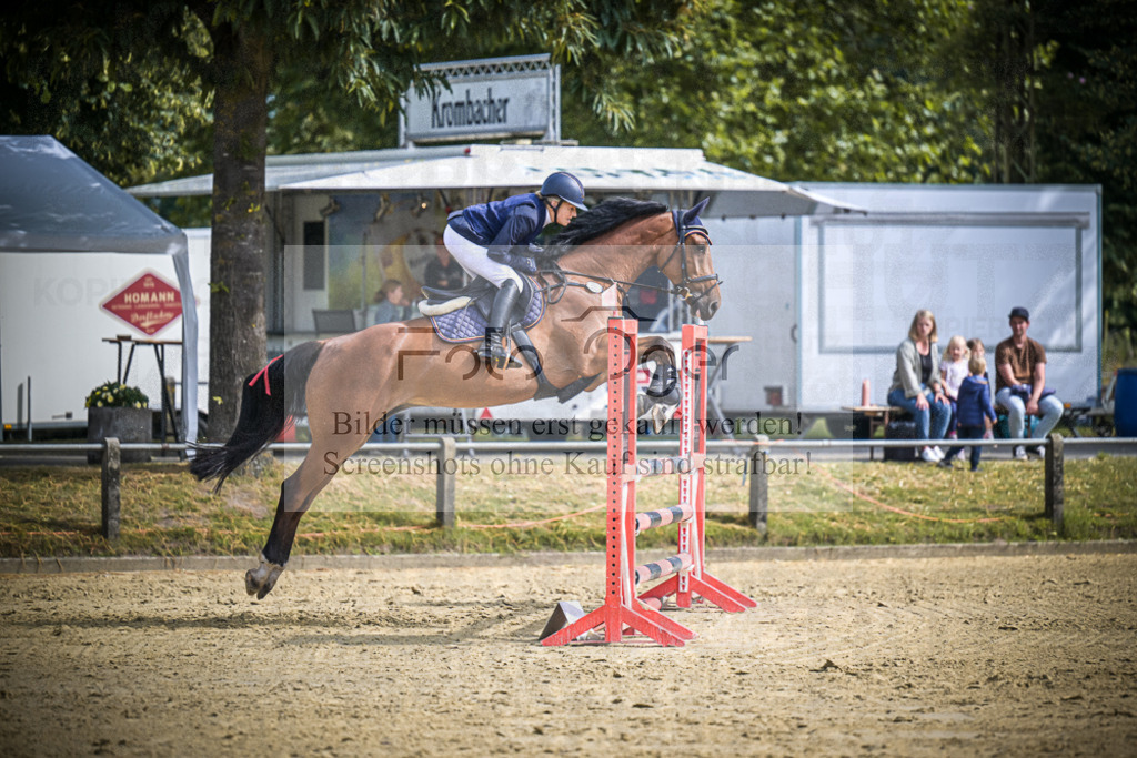 DOS_6031 | Entdecke hochwertige Reitturnierfotos von Foto Oger. Professionell, emotional und authentisch – jetzt Lieblingsmomente im Shop bestellen.Deutschlandweite Turnierfotografie. - Realisiert mit Pictrs.com