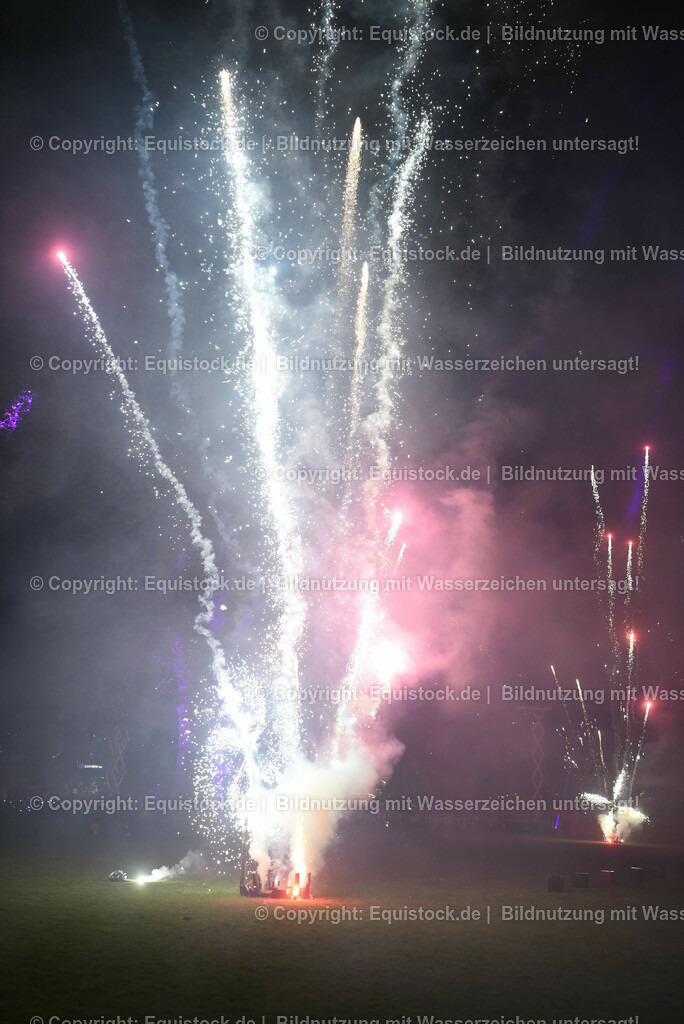 20230526_Pferdenacht_1614 | equistock