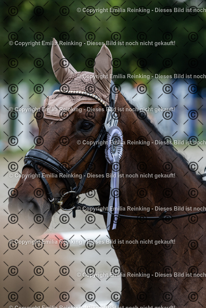 CL5A0274 | Emilia Reinking Fotografie - Realisiert mit Pictrs.com