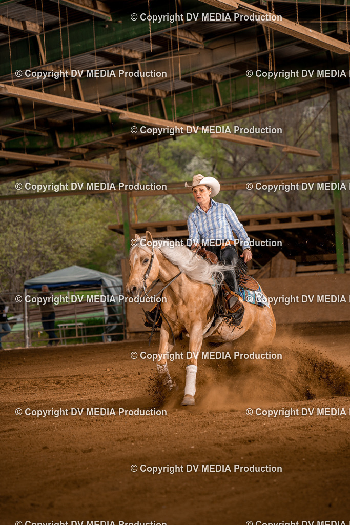 BA301270 | dv-media-shop - Realisiert mit Pictrs.com