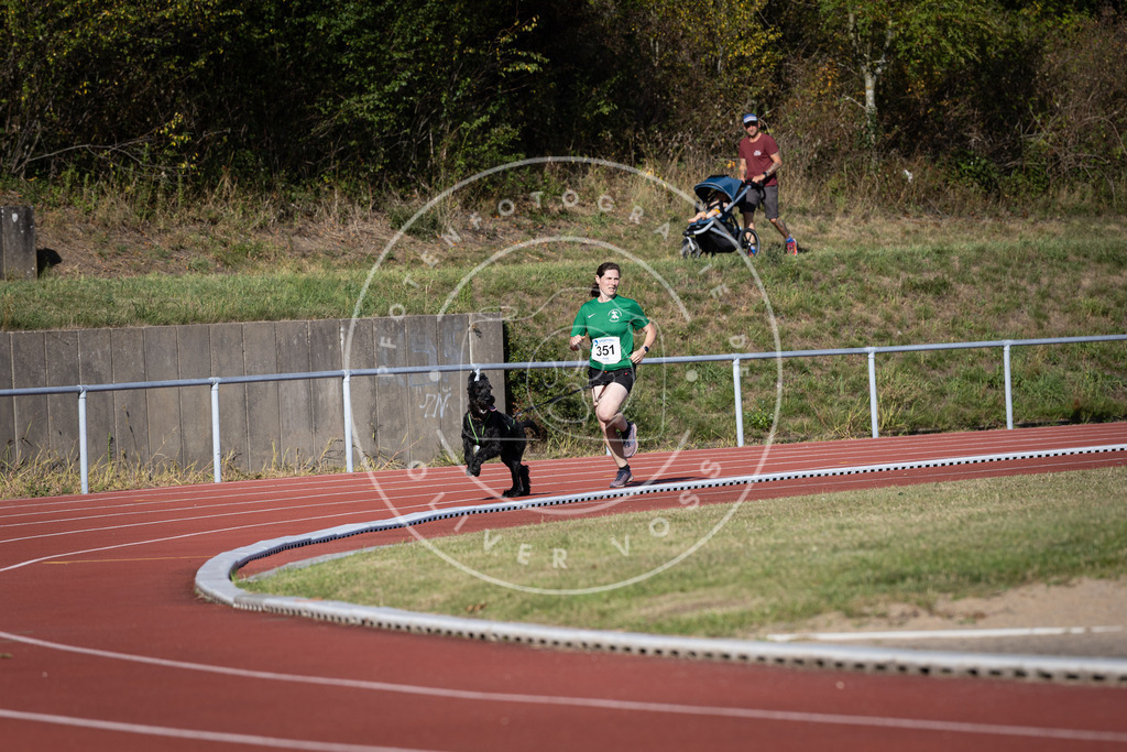 Pfotenfotografie_DV3A9243 | Hundefotografie, Tierfotograf, Pfotenfotografie, Fotoshooting Hund, Hunde Portrait, Hundesport, Hundeportraits, Heideshooting, Hunde, Sportfotograf, Hundefotograf, Turnierhundsport, THS,  - Realisiert mit Pictrs.com