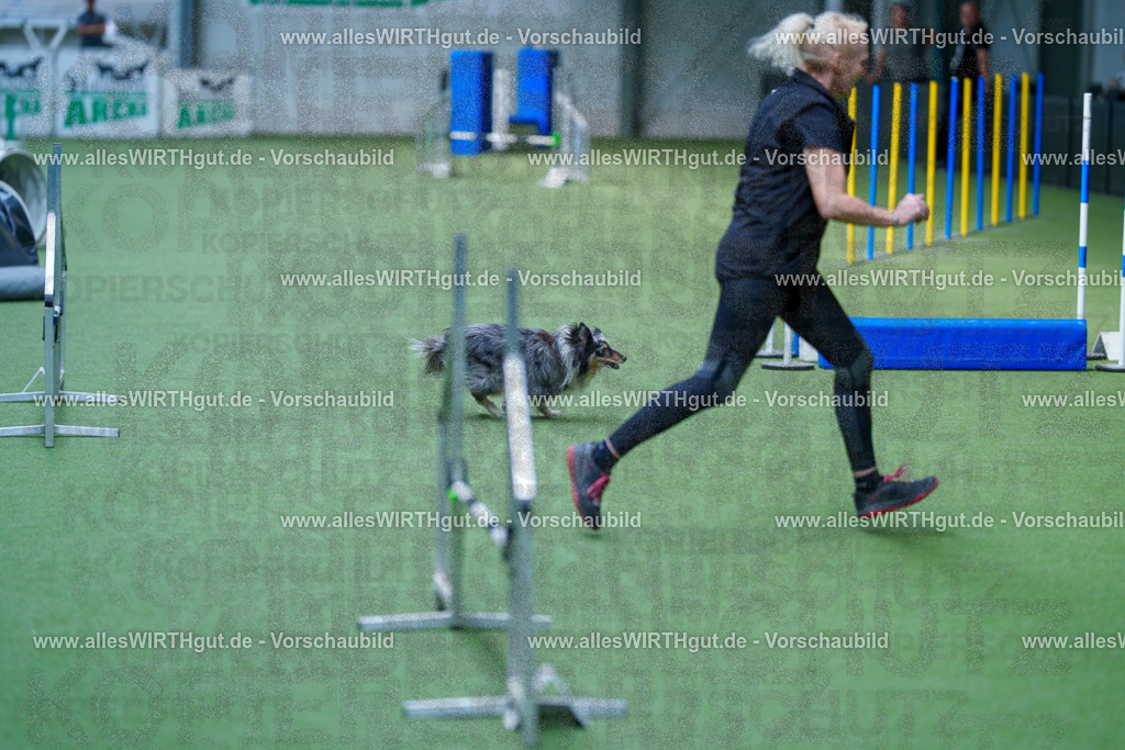 @allesWIRTHgut_Tierfotografie - www.allesWIRTHgut.de - 2604261337-7R502307 | Professionelle Tierfotografie in Mönchengladbach von Daniel Wirth (allesWIRTHgut). Liebevolle & natürliche Bilder von Hunden & Katzen für unvergessliche Erinnerungen.