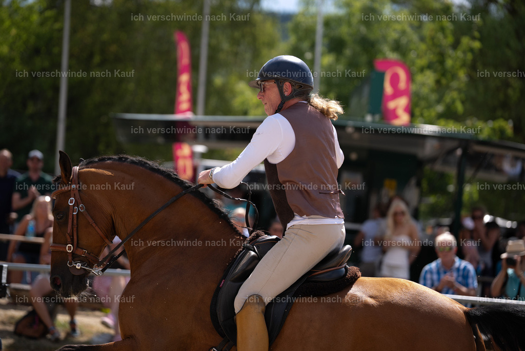 WS_SP_62_Stoibphotography_SO10546 | working equitationturnier fotograf videograf stoibphotography marixx film working equitation deutschland reitsport turnierfotografie eventfotografie equestrian events