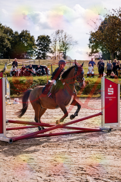 2026_10_03_Siefer-Hof_143753_Z81_06942771 | Professionelle Reitsport-, Turnier- und Eventfotografie von Robert Broda. Galerien mit ausgewählten und bearbeiteten Bildern direkt online ansehen und bestellen.