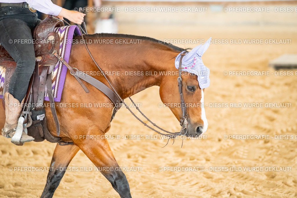 DSC07169 | Pferdegrafie