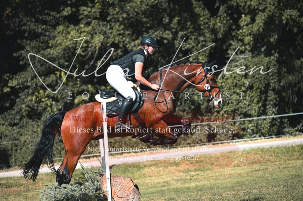 DSC_8135 | Pferde- und Turnierfotografie in Westsachsen. Pferdeportraits, Auftragszeichnungen und intuitive Kunst.
