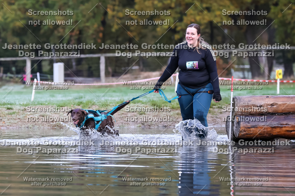 Dog Paparazzi - Strongdog 10-25-6341 | Dog Paparazzi Jeanette Grottendiek Fotografie & Videografie - Realisiert mit Pictrs.com