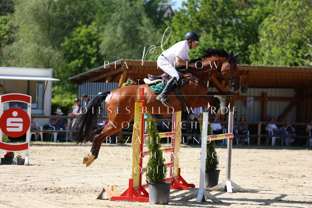 IMGS9919 | pl-fotografie