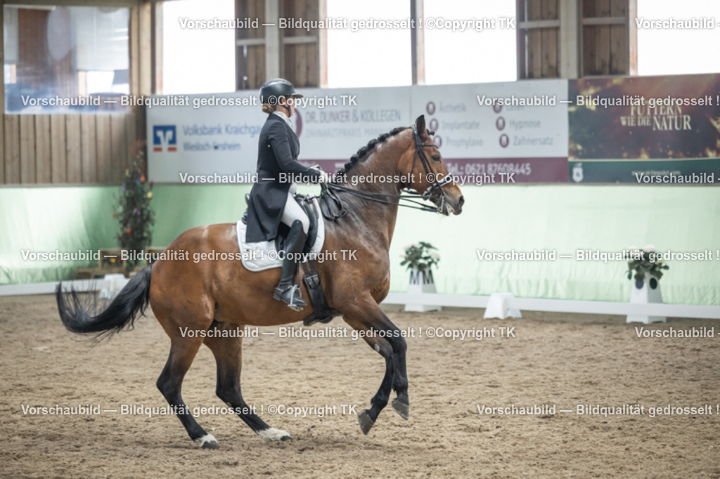 _D5A6353 | Emotionale Pferde- & People-Fotografie rund um Heidelberg, Leimen & Umgebung. Natürliche Fotos von Pferd, Mensch & Familie. Jetzt Termin sichern!