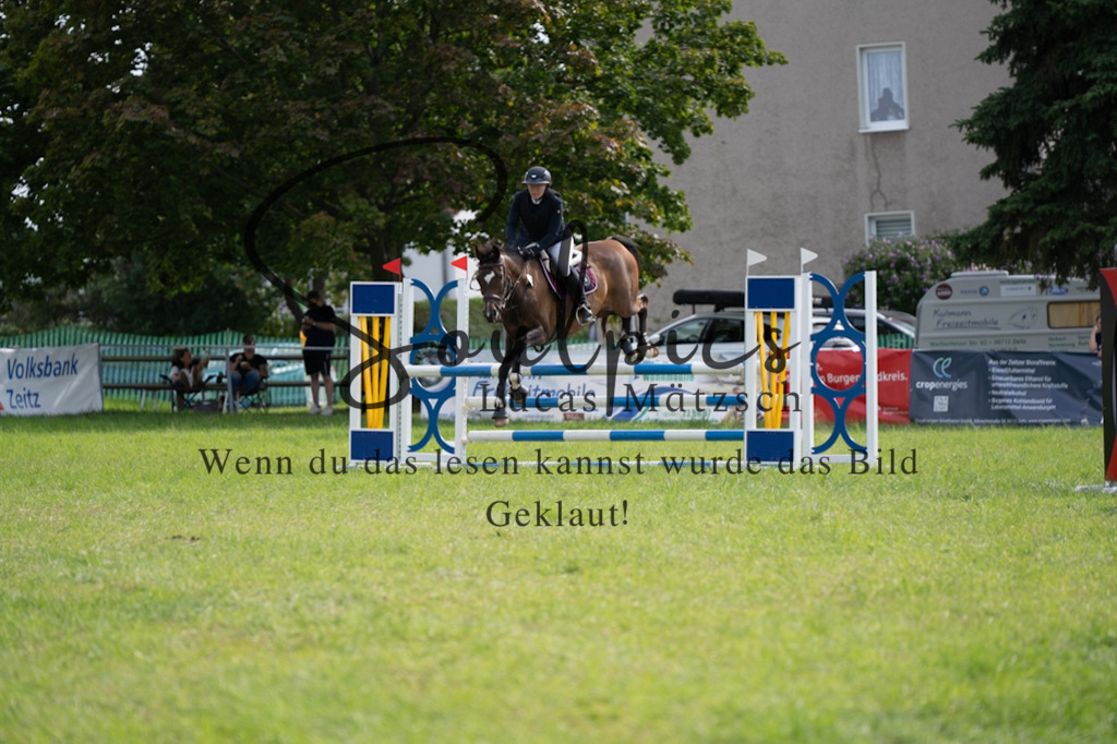 A7V04821 | Turnier/Reitfotograf