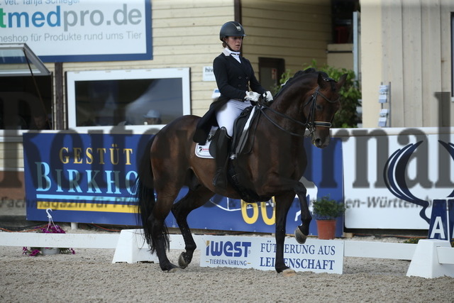Birkhof_2022_GrandPrixSpecial_Nicole Isser_DiCaprio 4 (10) | Alle Fotos der Reiterjournal Fotografin Doris Matthaes im Reiterjournal Online-Fotoshop. - Realisiert mit Pictrs.com