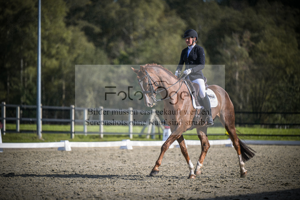 DOS_3686 | Entdecke hochwertige Reitturnierfotos von Foto Oger. Professionell, emotional und authentisch – jetzt Lieblingsmomente im Shop bestellen.Deutschlandweite Turnierfotografie. - Realisiert mit Pictrs.com