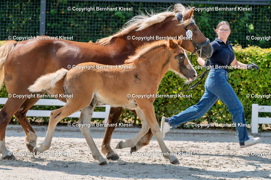 2A900009-2 | foto-team-bernhard - Realisiert mit Pictrs.com