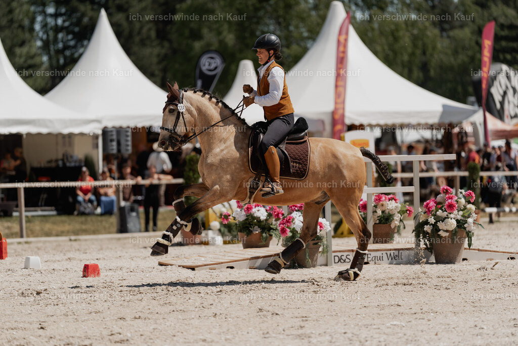 WE_SP_Stoib_334_PI2025_1806 | Pferd International München 2025