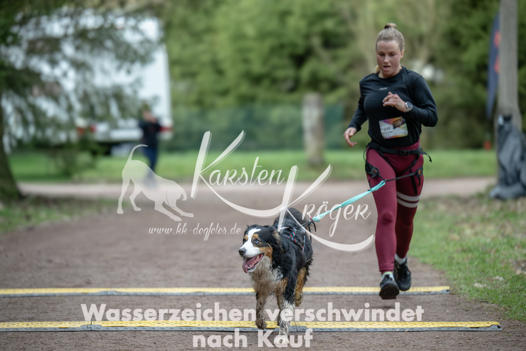 0847_ZZ99917 | kk-dogfotos