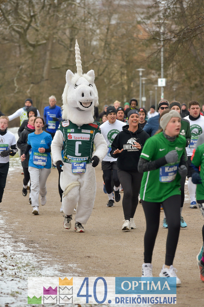 Roewisch Wohnbau Cup 5km | 40. Optima 3koenigslauf 2026 - Realisiert mit Pictrs.com