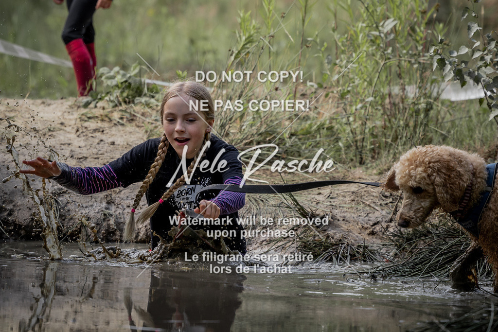 nelerasche_so0800-0930_43 | nelerasche