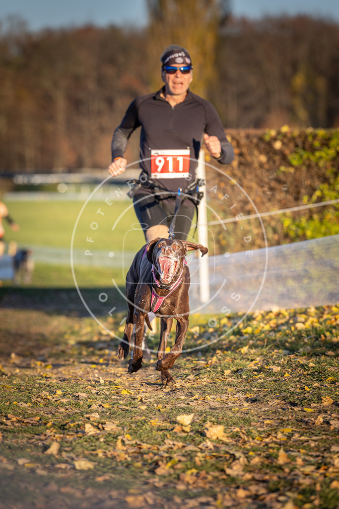 CaniXpix_DV3A4774 | Hundefotografie, Tierfotograf, Pfotenfotografie, Fotoshooting Hund, Hunde Portrait, Hundesport, Hundeportraits, Heideshooting, Hunde, Sportfotograf, Hundefotograf, Turnierhundsport, THS,  - Realisiert mit Pictrs.com