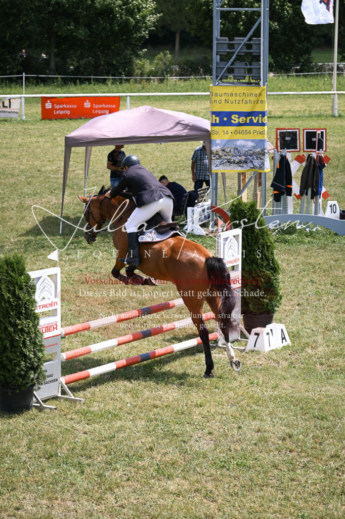 DSC_9412 | Pferde- und Turnierfotografie in Westsachsen. Pferdeportraits, Auftragszeichnungen und intuitive Kunst.