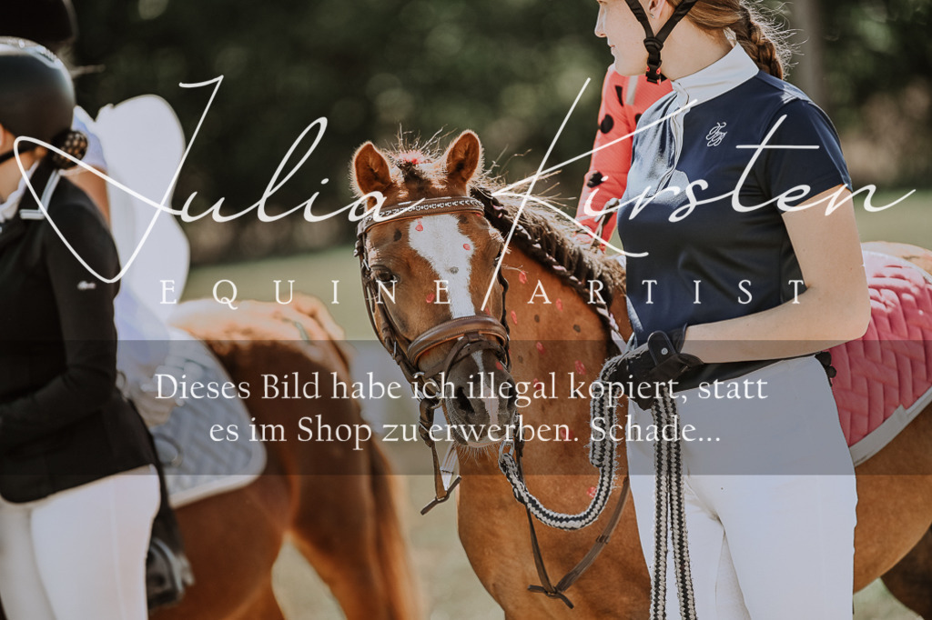 DSC_8943 | Pferde- und Turnierfotografie in Westsachsen. Pferdeportraits, Auftragszeichnungen und intuitive Kunst.