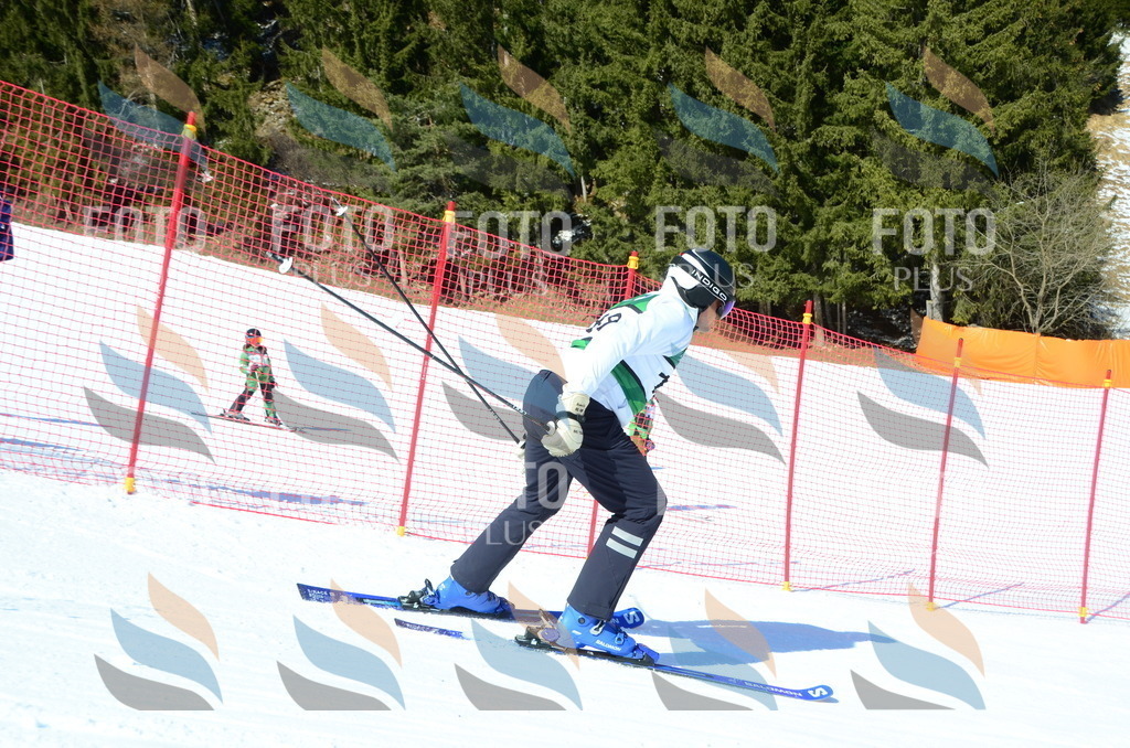 C6483 | holidayphoto