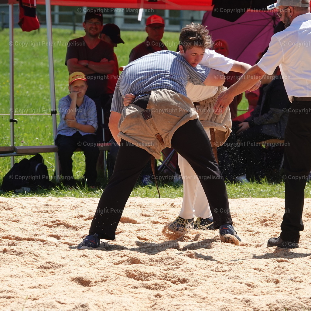 DSC04724 | Schwingen - Realisiert mit Pictrs.com
