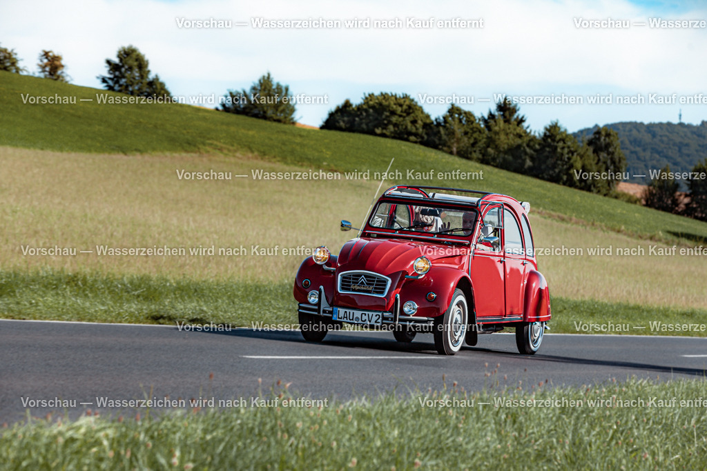 Rollhofen 2025_Rückfahrt_0175__MG_0438 | #Grafikstudio Simplex #Fotos Juri Anikanov #Eventfotos #Grafiker #Fotograf #Eventfotograf #Fotograf Lauf #Fotogalerie #Shop #Sportfotograf #Fotograf Lauf an der Pegnitz  #Fotograf Lauf - Realisiert mit Pictrs.com