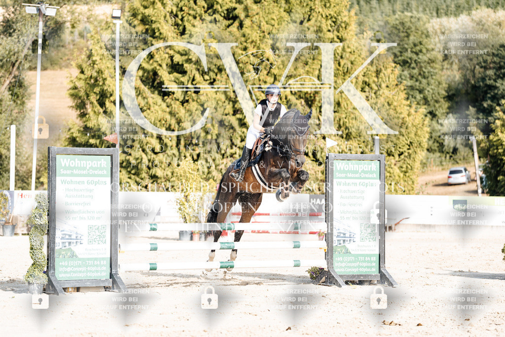 CK909386 | Turnierfotografie Pferdefotografie Trier Rheinland-Pfalz Pferdesport Reitsport Tierfotografie Sportfotografie Pferdevideo Pferdevideografie Equestrianvideography equestrianphotography  - Realisiert mit Pictrs.com
